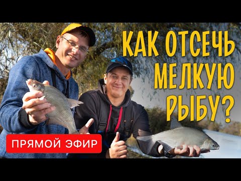 Видео: Как отсечь мелкую рыбу и ловить крупную. Прямой эфир.