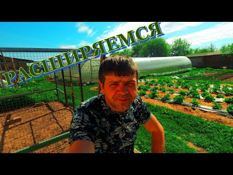 Видео: Что стало с клубникой?!? Взяли земельный участок в аренду - для дальнейшего заработка!