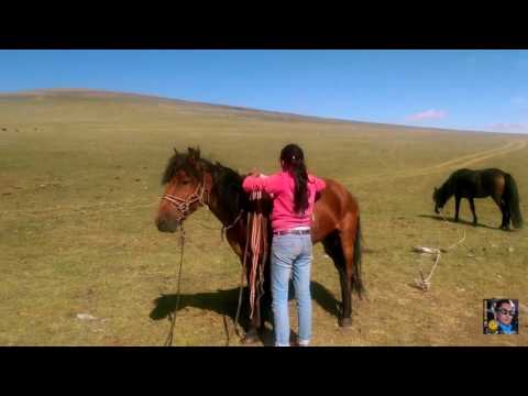 Видео: Казахи, которые нашли ключ к счастью...........