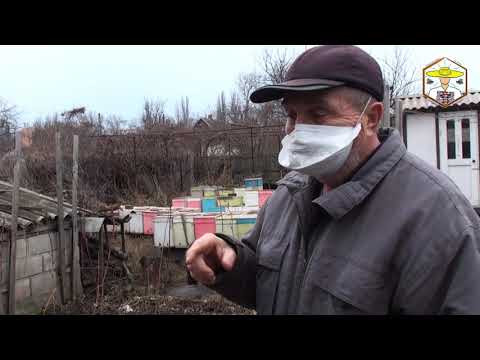 Видео: В гостях у пасечника: дядя Миша из КГБ и Шестирамочники из ППС