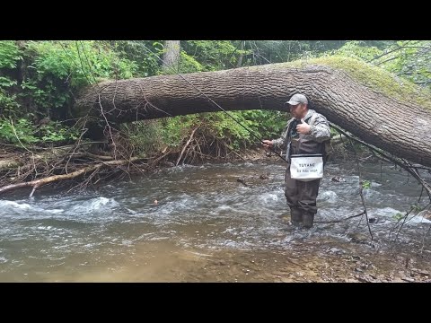 Видео: Ловим хариуса на таежной речке.