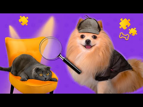 Видео: ШЕРЛОК ШПИЦ ИДЕТ НА ПОМОЩЬ ! | КТО РАЗБИЛ ВАЗУ?