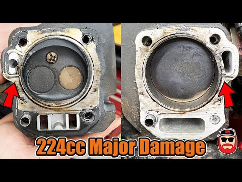 Видео: Большие цифры на динамометре с перегретым двигателем ~ Predator 224cc Max Performance Stage 4