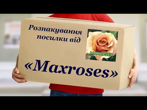 Видео: Розпакування посилки від «Maхroses» розплідника троянд, Вінницька обл. Сорти Кейт-Лінн, Ред Піано.