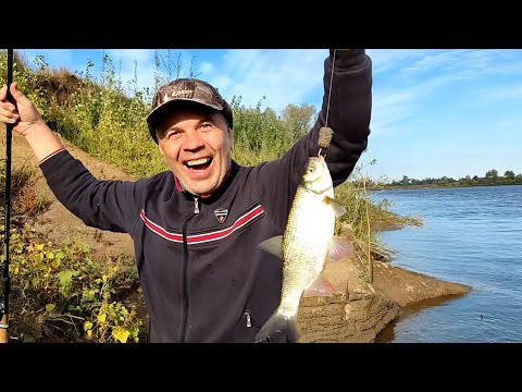 Видео: Рыбалка на нижней волге в сентябре 2022