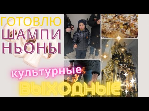 Видео: Приготовил шампиньоны. Культурные выходные. Сходили в баню.