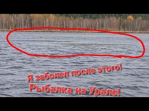 Видео: Зачем мы приехали на это озеро...Худшая рыбалка #рек #рыбалка #fishing #отдых #спиннинг