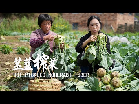 Видео: Круглые шарики из кольраби хрустящие, нежные, свежие и сладкие, из них готовят