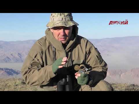 Видео: Горная охота Эдуарда Бендерского. Алтайский козерог. Монголия
