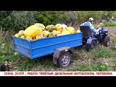 Видео: ОСЕННИЕ РАБОТЫ МОТОБЛОКОМ, ПРИЕХАЛ ПОМОЧЬ СЕСТРЕ / ТЯЖЁЛЫЙ ДИЗЕЛЬНЫЙ МОТОБЛОК КЕНТАВР МБ 1010ДЕ6