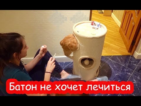 Видео: VLOG Вернулись домой. Ёлка засохла