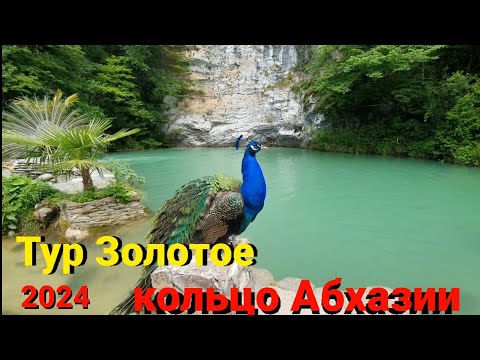 Видео: Тур из Сочи Золотое кольцо Абхазии,лучшая природа,горы,водопады,озеро Рицца,голобое,водопадХрам10век