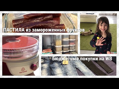 Видео: Пастила в сушилке из замороженных фруктов/Фикс Прайс/Бюджетные покупки на WB/Сушилка МАСТЕРИЦА