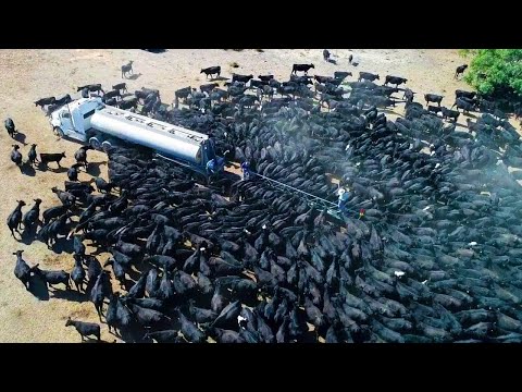 Видео: Удивительные Вещи, Которые Вы Не Видели. Часть 16