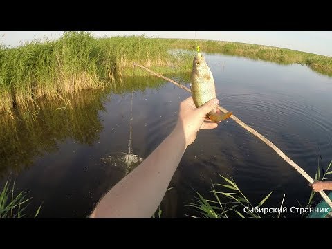 Видео: Хищник на джиг в микроречке.