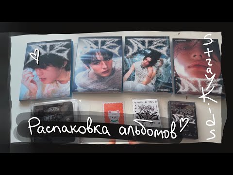 Видео: распаковка альбомов: Stray Kids - ATE (ACCORDION, NEMO Ver.) || kpop album unboxing