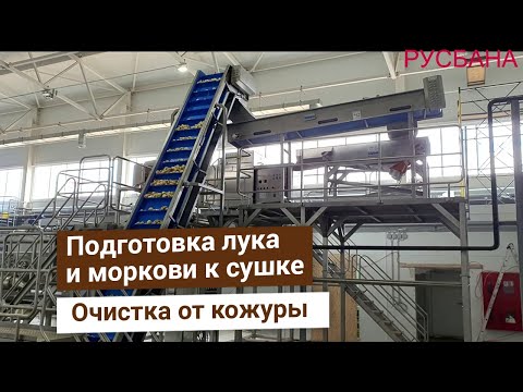 Видео: Линия подготовки лука и корнеплодов к сушке от компании Bigtem