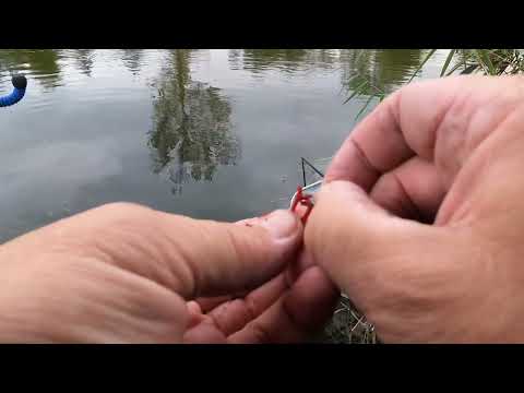 Видео: Відкриваємо сезон . Бурштин