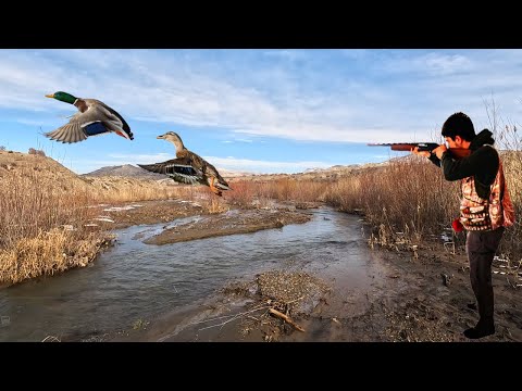 Видео: ОХОТА НА КРЯКВУ И ЧЕРНОНОГУЮ УТКУ В СНЕГУ! (МЫ ОХОТИЛИСЬ НА УТОК В РЕКЕ И ОЗЕРЕ)