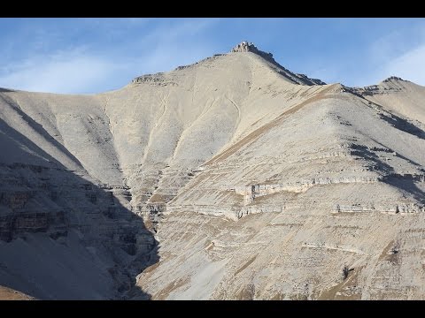 Видео: Охота в горах Кавказа