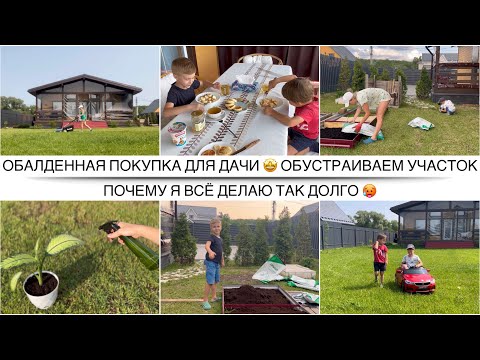 Видео: УРА! НАКОНЕЦ-ТО МЫ ЕГО КУПИЛИ 🤩 Много дел на участке | Обустраиваем дачу в Подмосковье 🏡