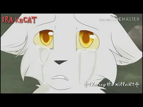 Видео: Коты-Воители ,,Миру Мир!"