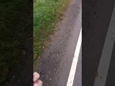 Видео: Минимализм. Обувь