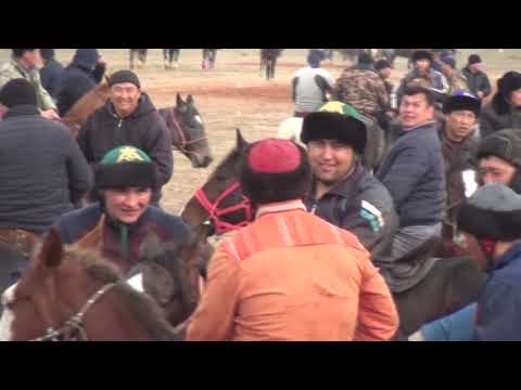 Видео: Сарыағаш көкпар. Ержан АСАБА. 04 02 2019 ж. 1-бөлім