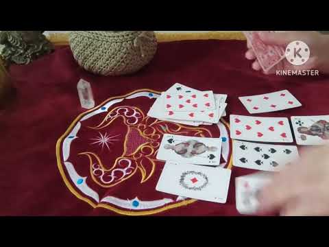 Видео: Крестовый король и бубновая. Что сейчас у них происходит в доме в семье?