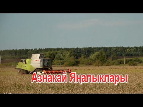 Видео: Азнакай Яңалыклары 04.09.2024