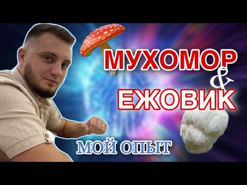 Видео: МИКРОДОЗИНГ Ежовик /Красный мухомор / Пантерный мухомор