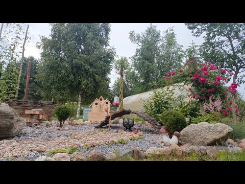 Видео: Прогулка по июльскому саду. Мой маленький рай.
