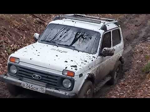 Видео: 22 марта 2024 г.