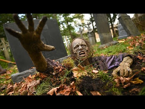 Видео: ЗОМБИ-АПОКАЛИПСИС НАСТАЛ! ОТМЕННЫЙ ФЭНТЕЗИ-ХОРРОР ПРО НАШЕСТВИЕ ЗОМБИ! ДЕНЬ МЕРТВЕЦОВ. ВСЕ СЕРИИ