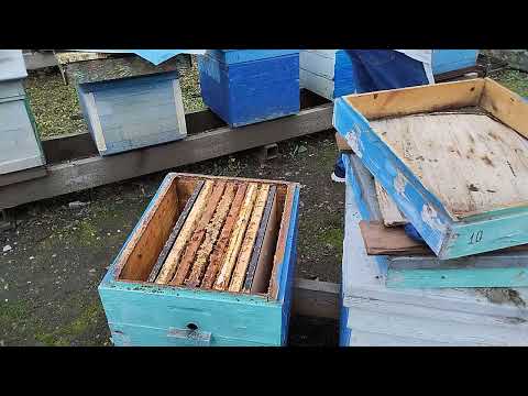Видео: Заключительные работы на пасеки.