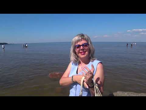 Видео: Прогулка по Петергофу