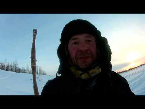 Видео: Капкан на щуку  Доработка и испытание