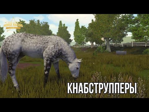 Видео: Кнабструпперы | Видео по Rival Stars Horse Racing