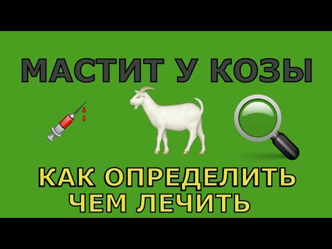 Видео: Мастит Козы: Как Определить, Чем Лечить