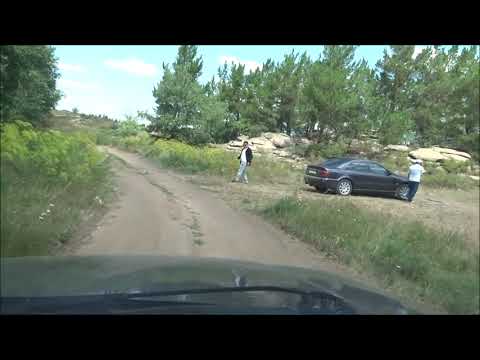 Видео: Ботакара Ульяновский, Корнеевские лесочки