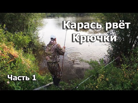 Видео: Рыбалка на реке Амур! Огромный карась рвет леску!  Часть 1