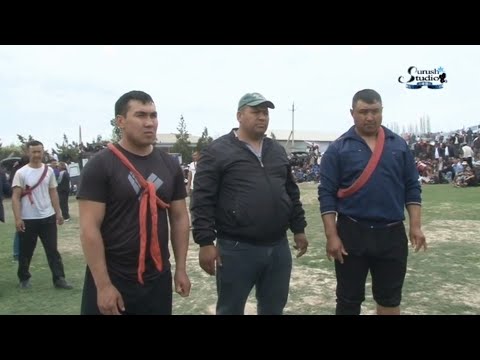 Видео: Чорбог кураш  20  04  2024     Чорбоғ кураш 21  04   2024
