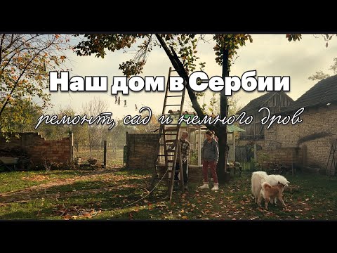 Видео: Ремонт идёт! Готовим ванную к покраске, спилили вишню и посадили персики #домвсербии #ремонтвдоме 