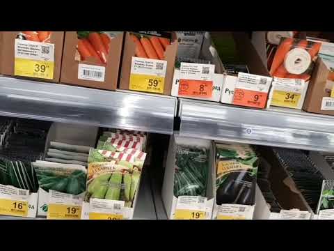 Видео: В ЛЕНТЕ   лилии  дешевле чем в ЛЕРУА МЕРЛЕН ?