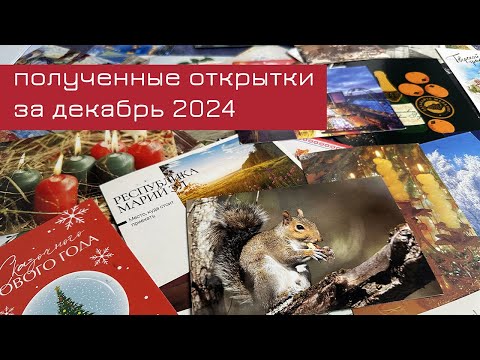 Видео: Обзор входящих открыток за декабрь 2024