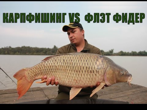 Видео: ФЛЭТ ФИДЕР РУЛИТ! Водоем Карплидер