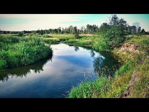Видео: Ловля щуки спиннингом на малой реке.