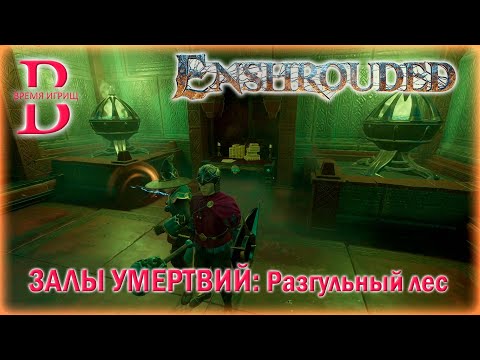 Видео: Enshrouded - Проходим Залы Умертвий - Разгульный лес