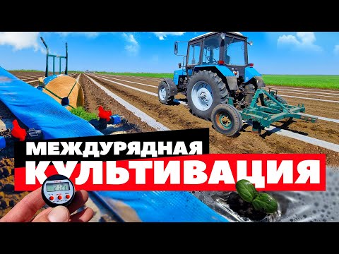 Видео: Культивация 🚜🌱💦 7 05 23