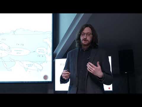 Видео: Приправы, травы, специи. Лекция Александра Коцкого
